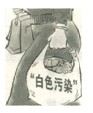 2010年中考语文仿真模拟试卷1